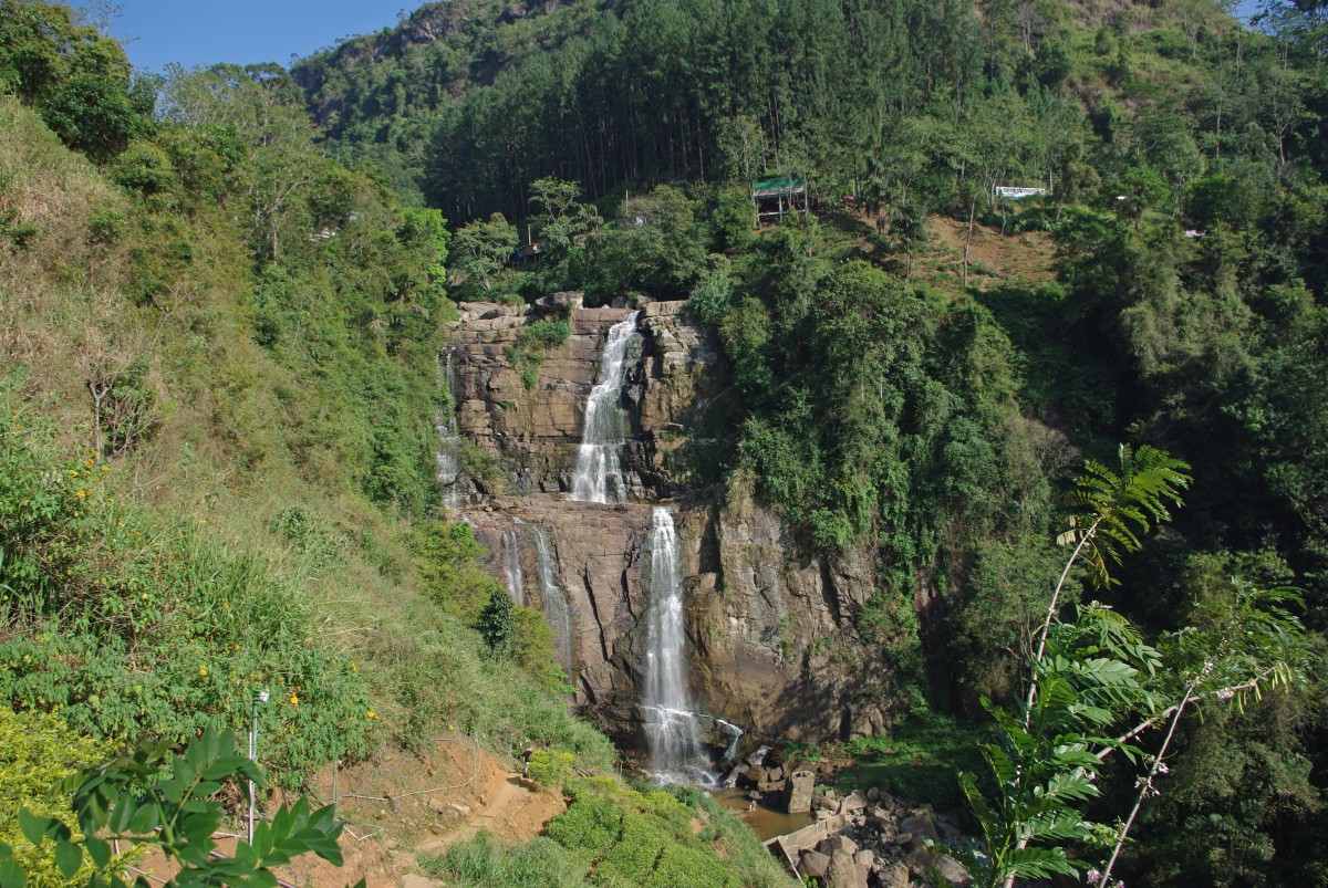 07180 0668 Nuwara Eliya, vylet na cajove plantaze