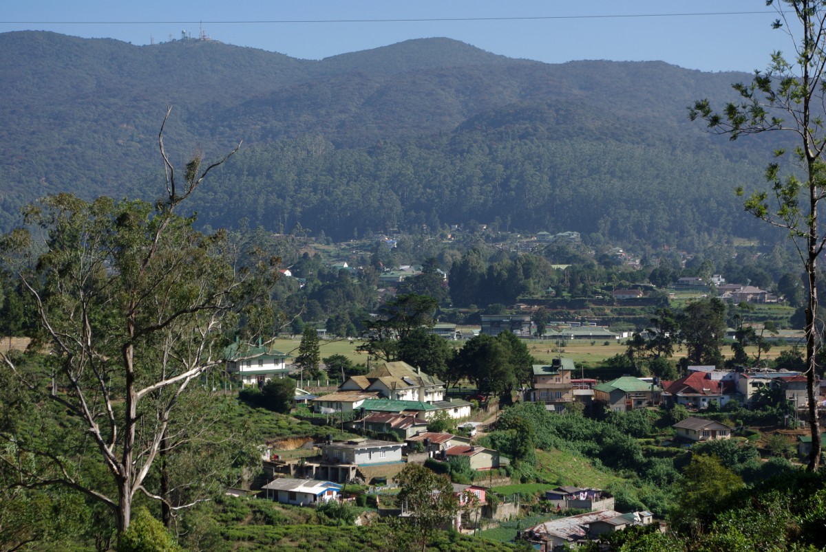 07250 0678 Nuwara Eliya, vylet Single Tree Mountain - Shantfipura