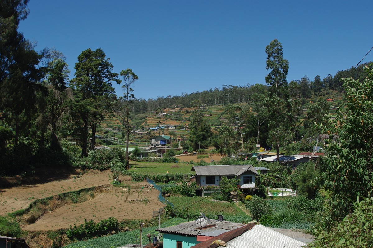 07510 0720 Nuwara Eliya, vylet Single Tree Mountain - Shantfipura