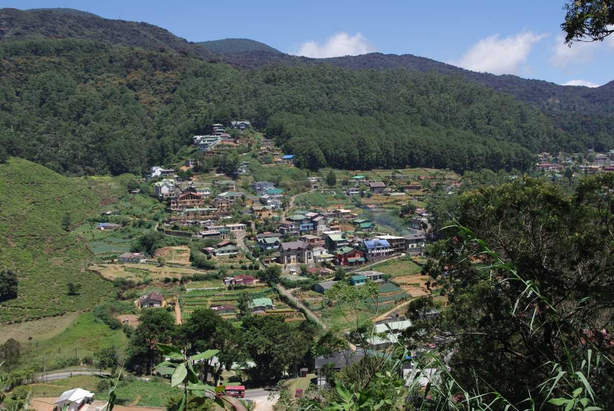 07584 0737 Nuwara Eliya, vylet Single Tree Mountain - Shantfipura