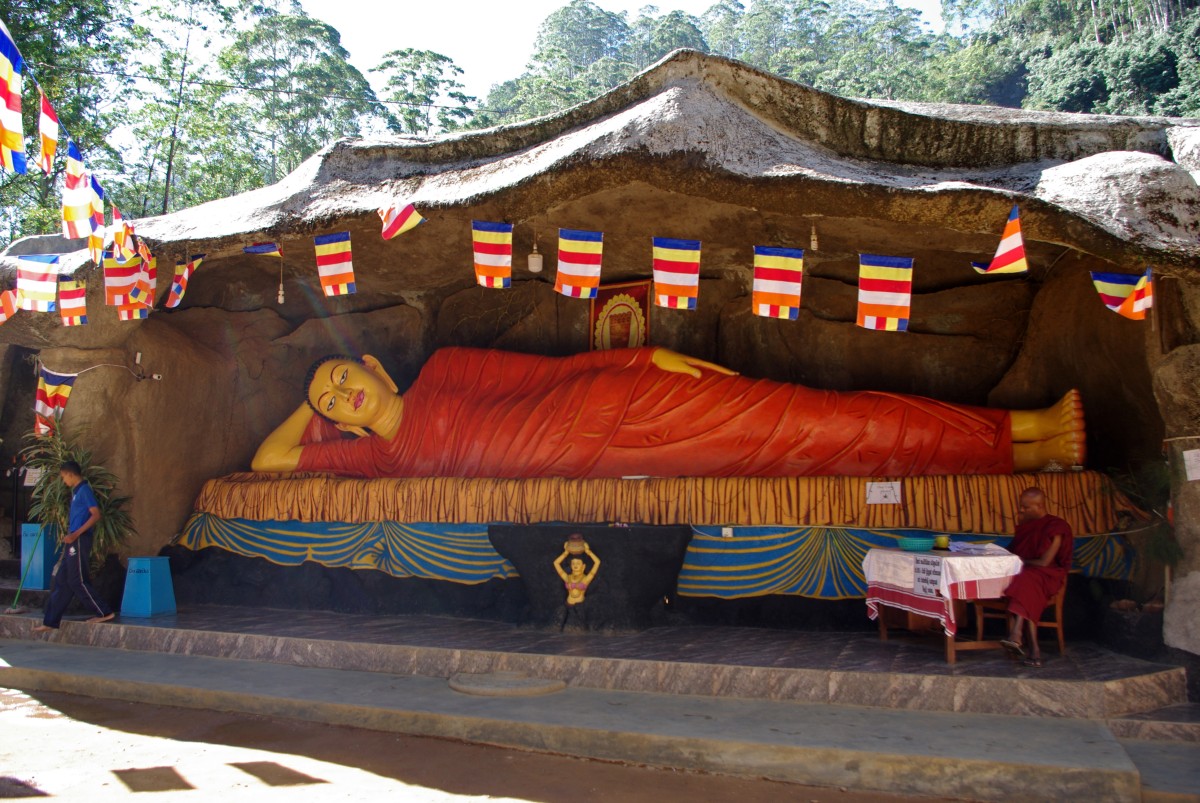 07980 0772 Nallathanniya, Adams Peak