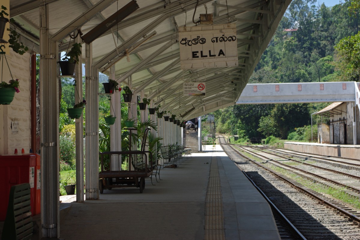 09628 0814 Ella