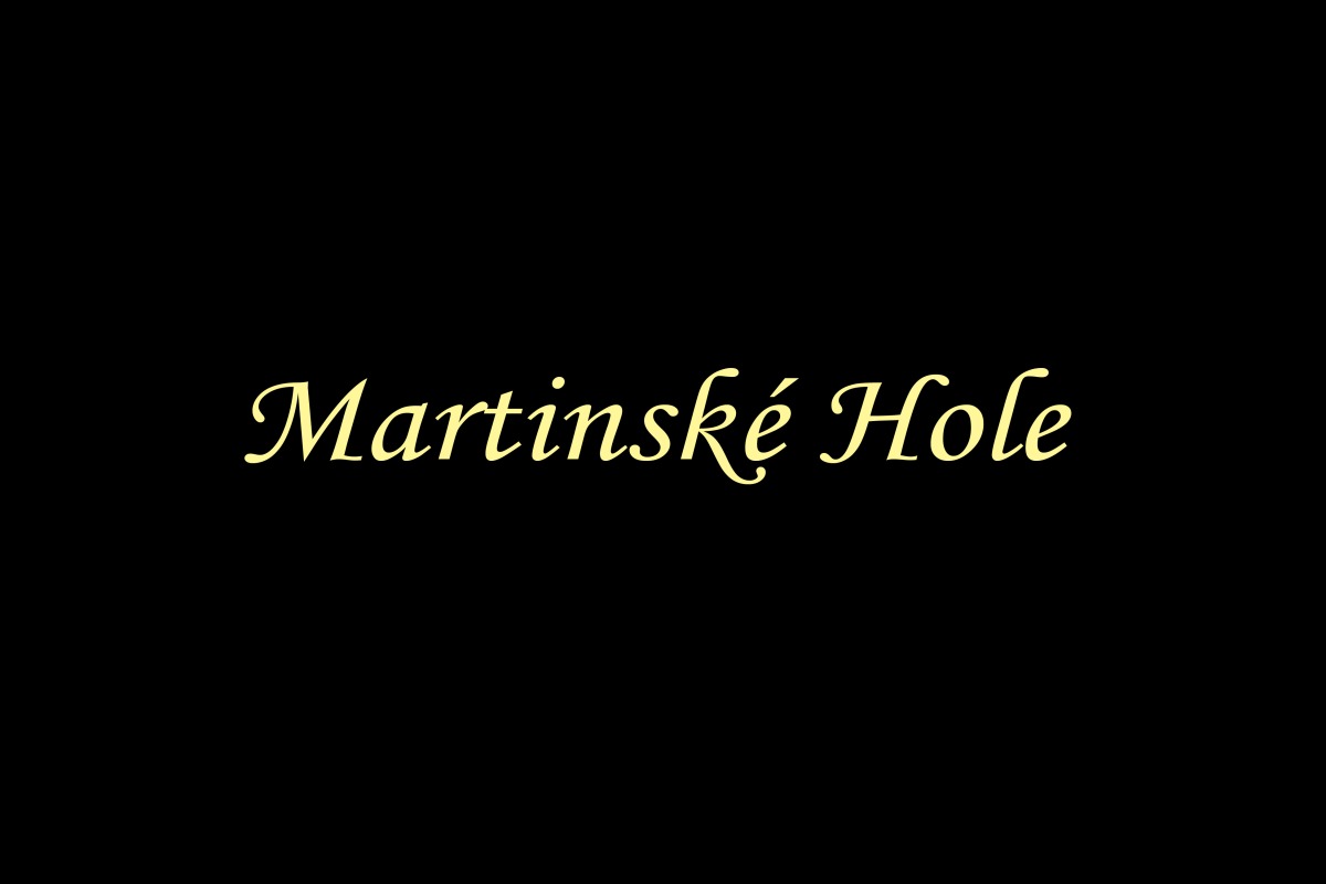 2000 Martinske Hole