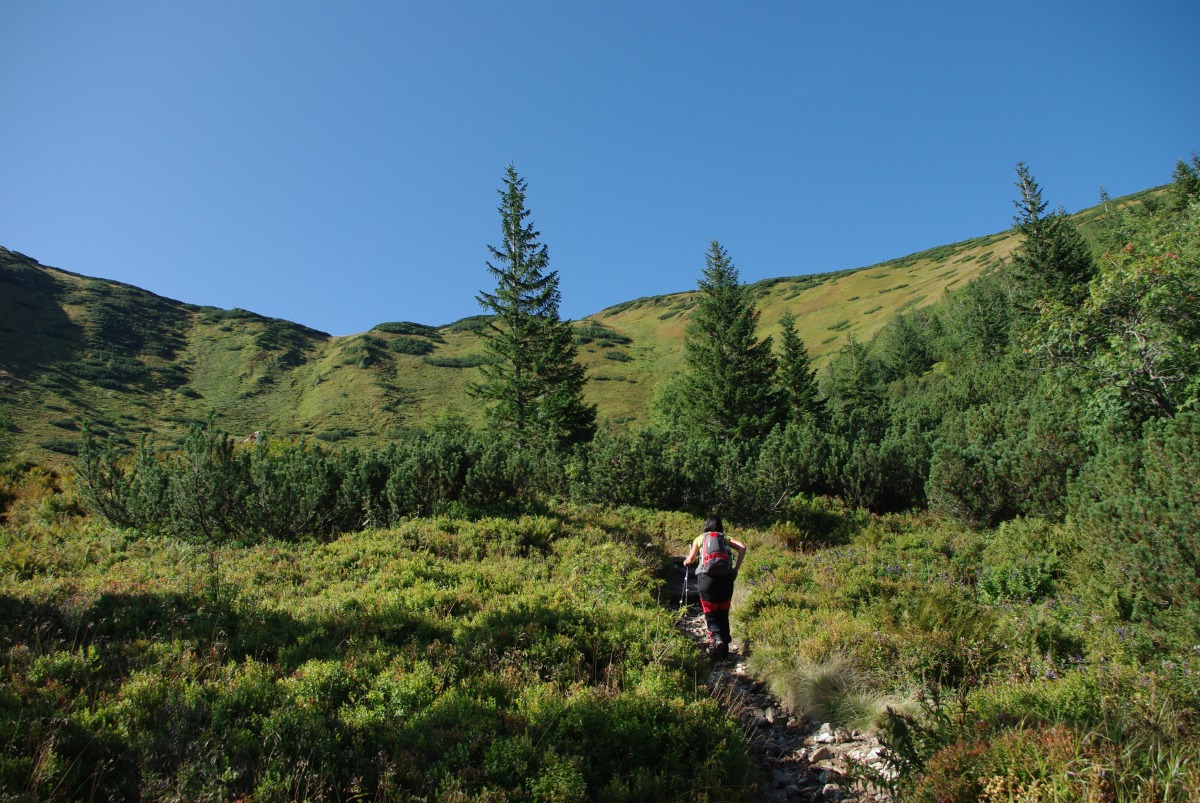 3120 Zapadni Tatry Rohace
