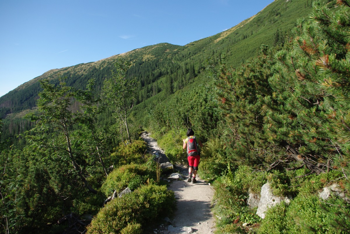 4440 Zapadni Tatry Rohace
