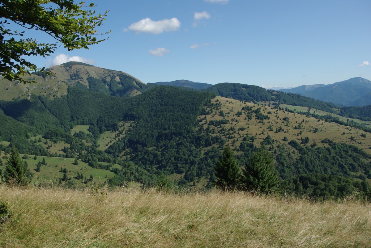 5150 Velka Fatra