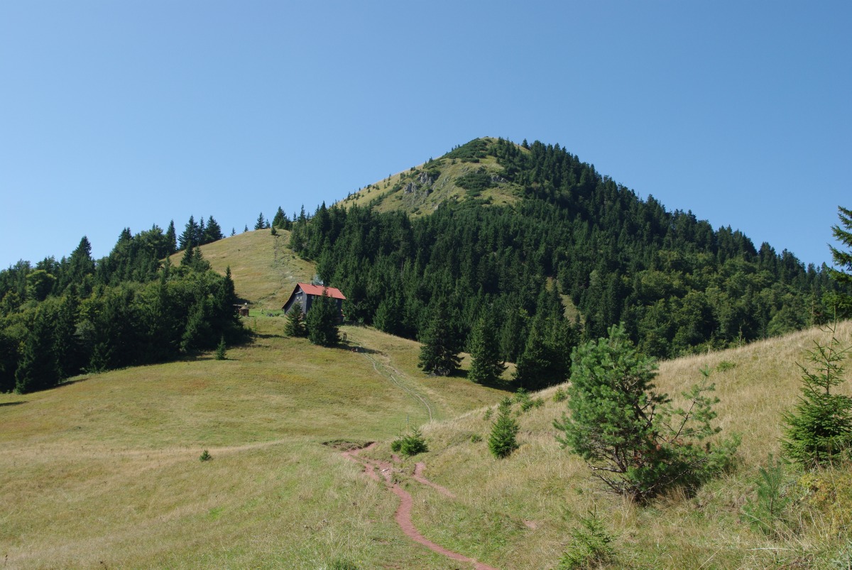 5310 Velka Fatra