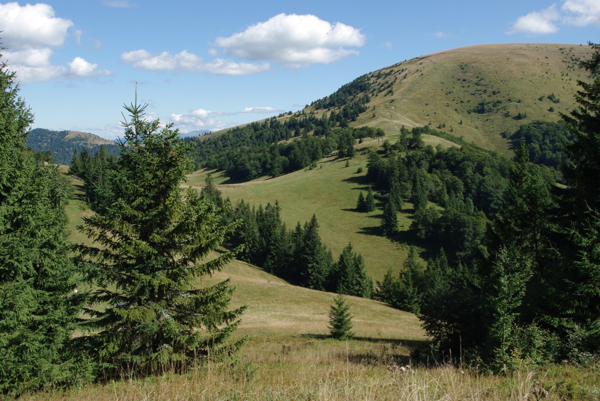 5330 Velka Fatra