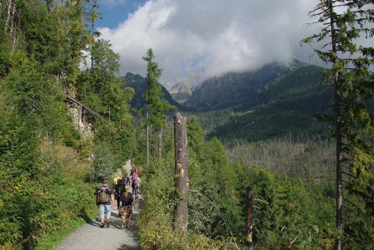 6080 Vysoke Tatry