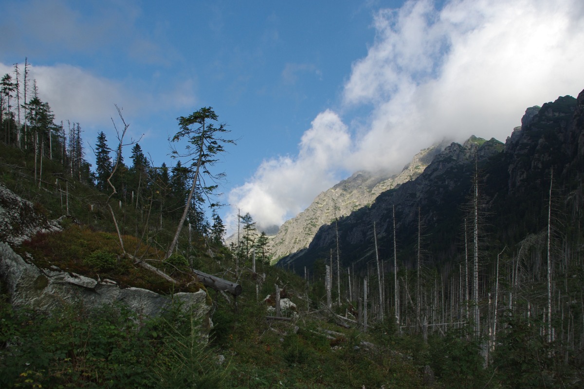 6130 Vysoke Tatry