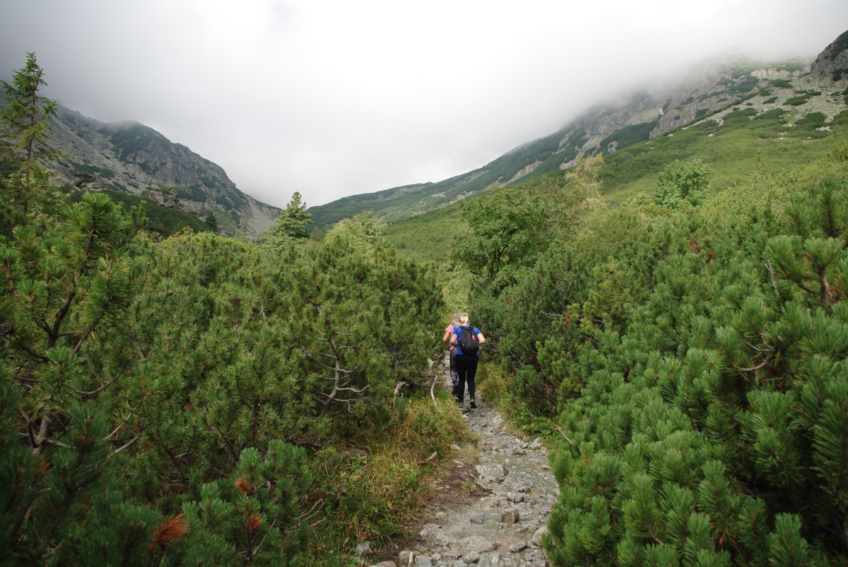 6160 Vysoke Tatry