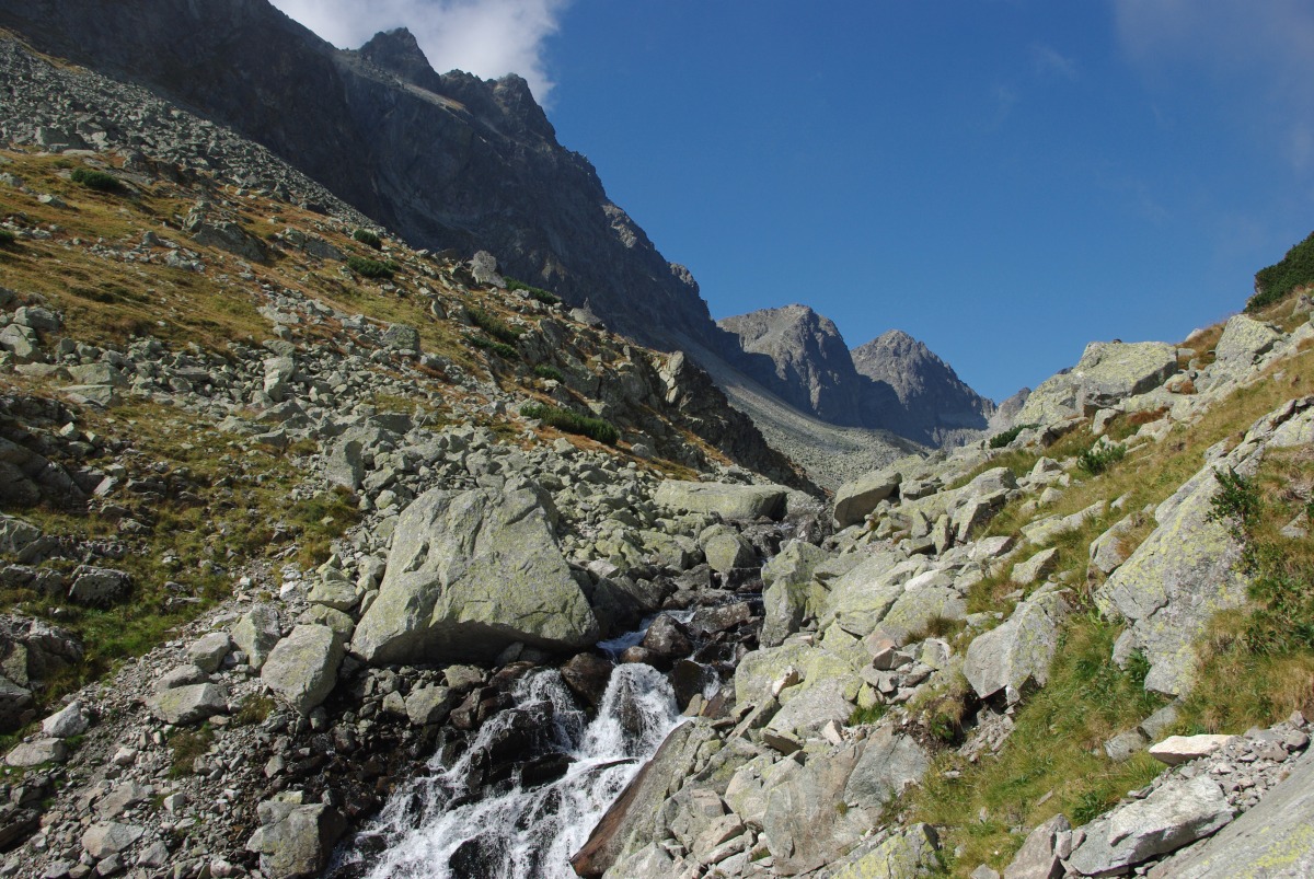 6290 Vysoke Tatry