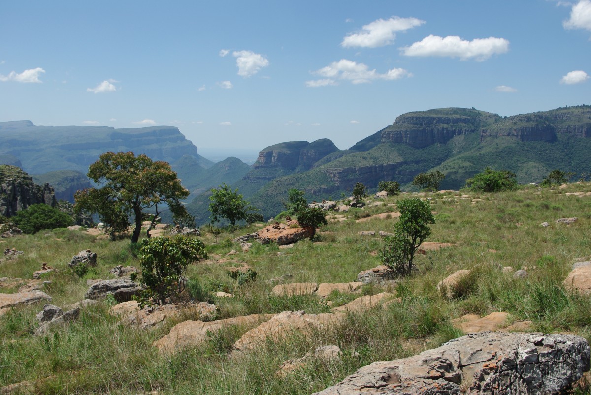 01640 200126_095 Graskop, Blyde River Canyon