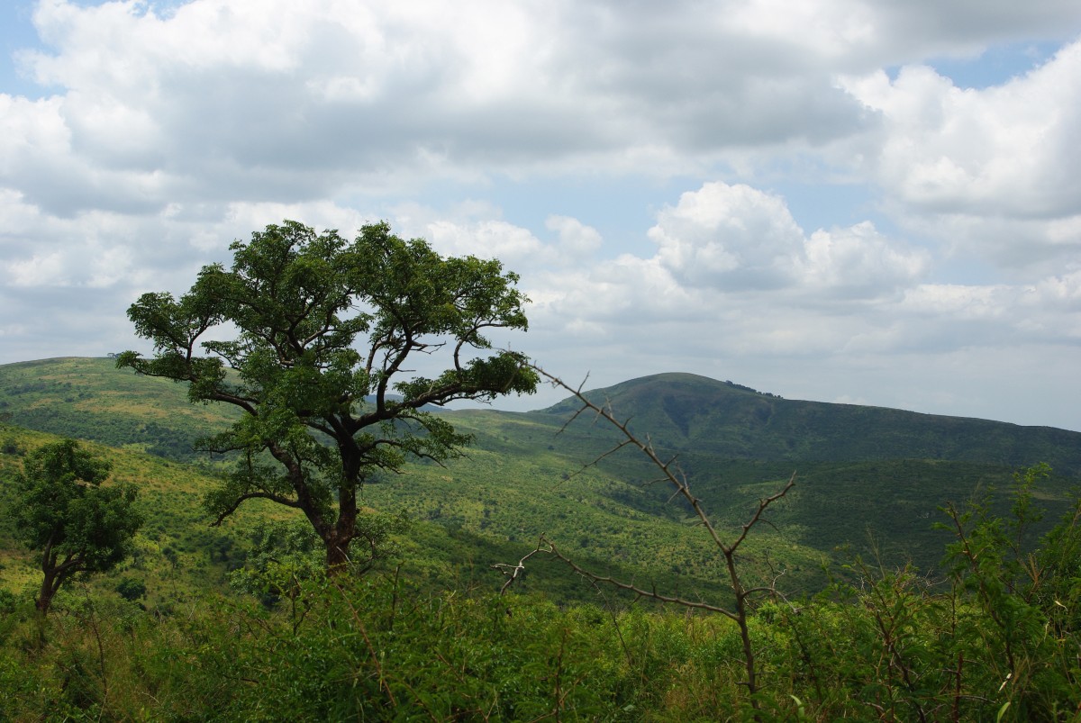 07800 200201_061 Hluhluwe-iMfolosi Park