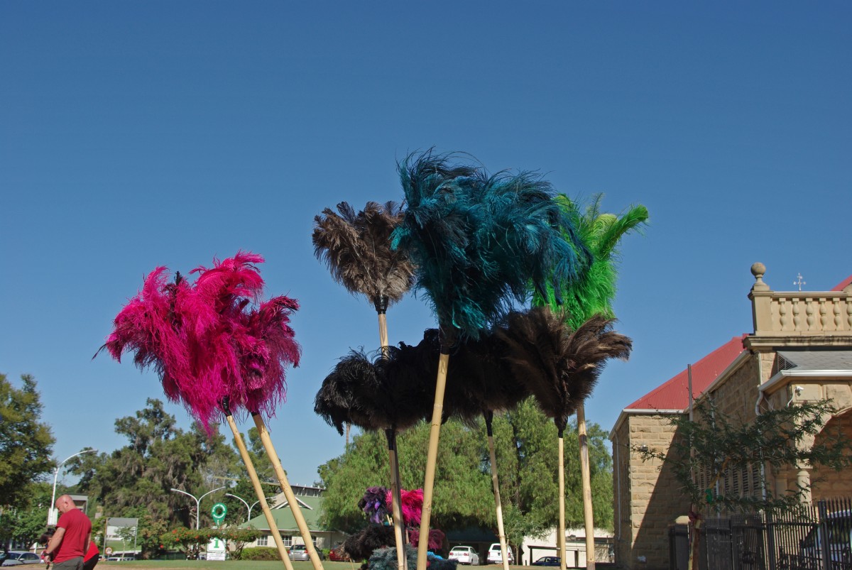 17768 200212_012 Oudtshoorn
