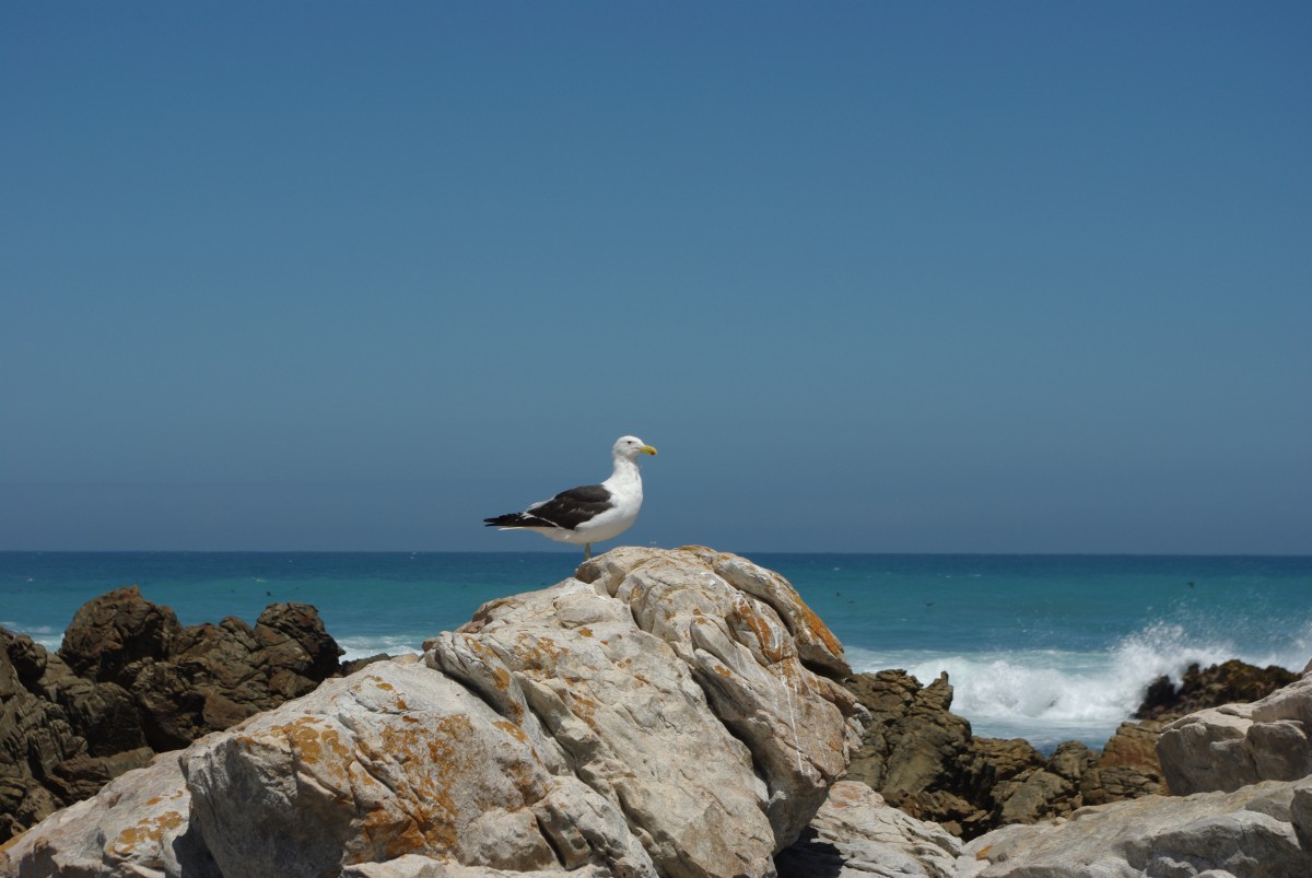 19630 200213_054 Cape Agulhas
