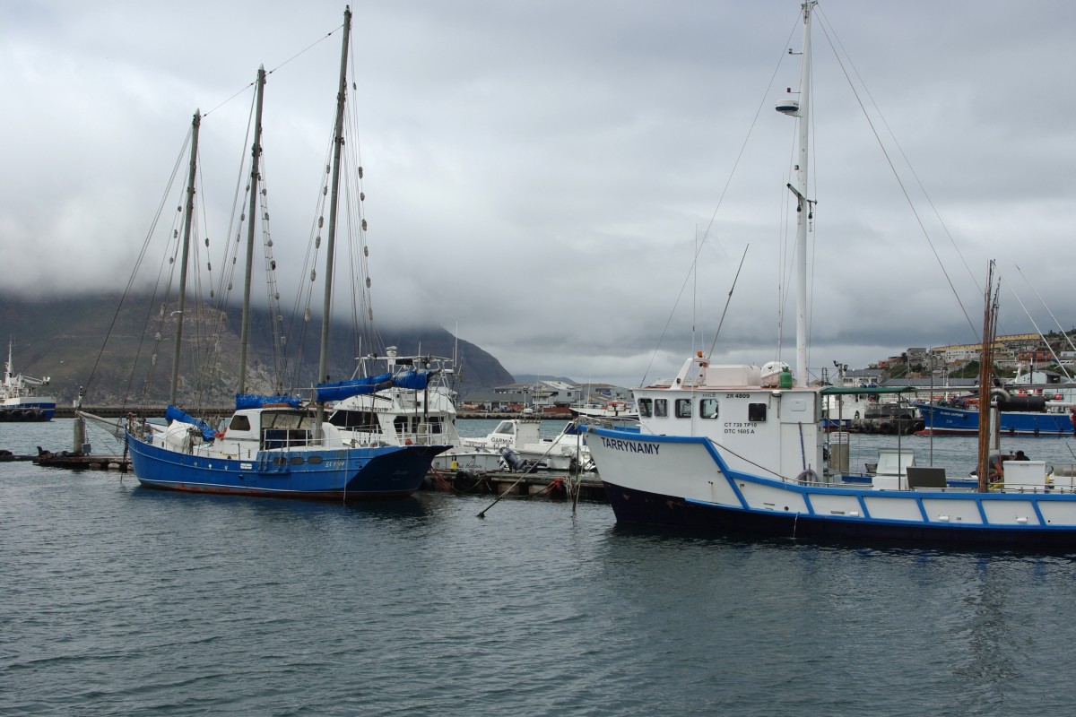 20170 200214_028 Hout Bay