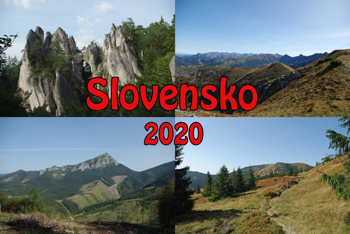 0000 Slovensko 2020 - titulni stranka
