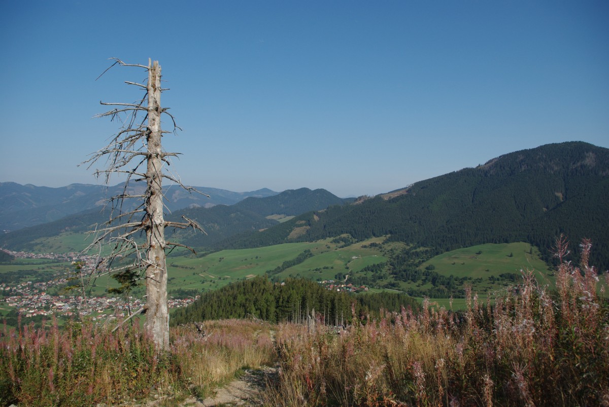 0540 054 Nizke Tatry