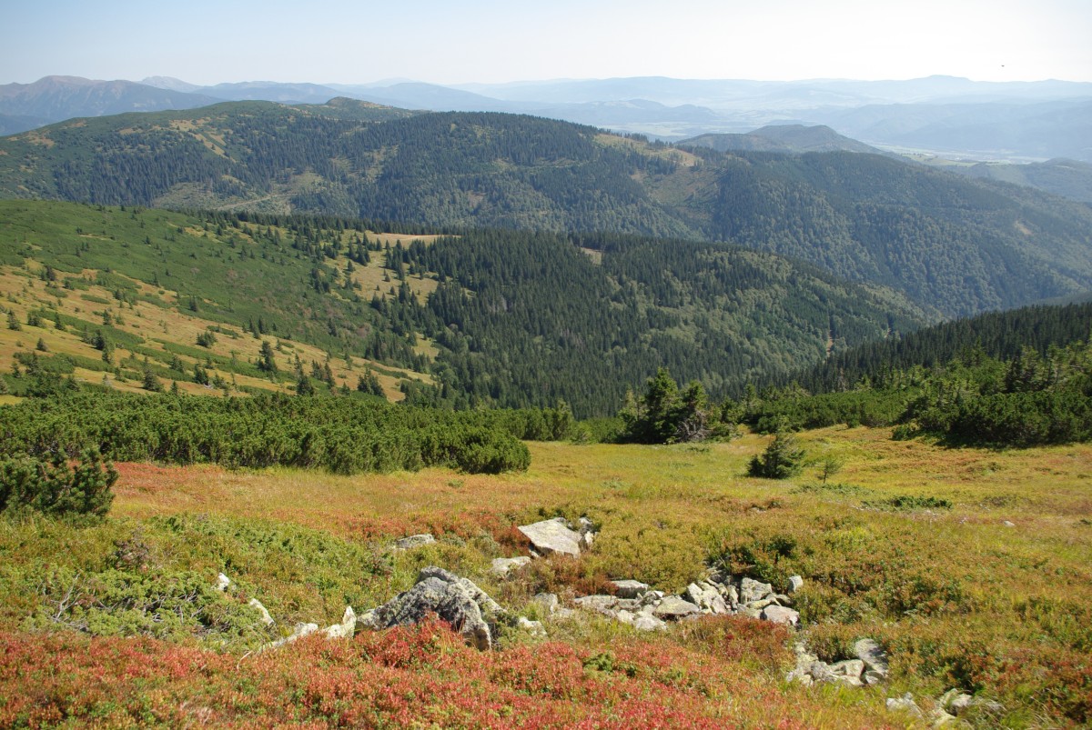 0860 086 Nizke Tatry