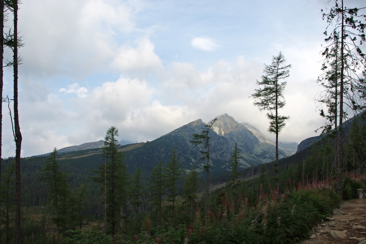 1230 123 Vysoke Tatry