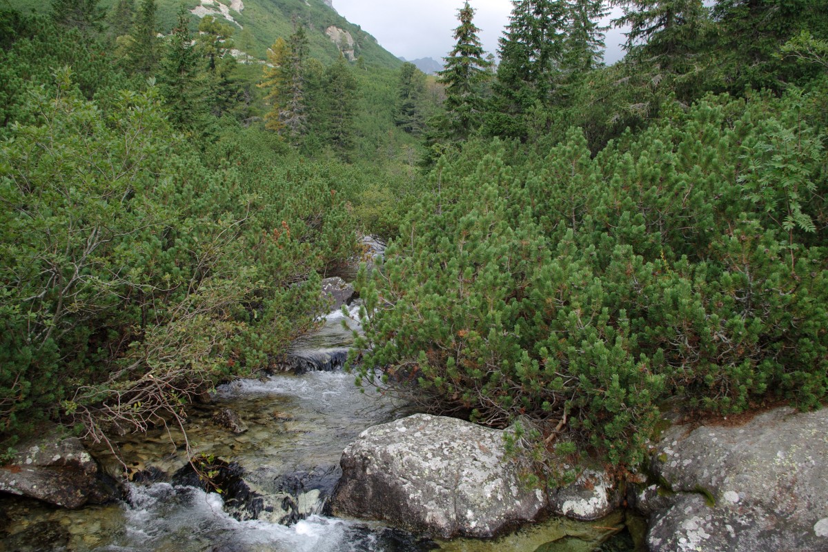 1270 127 Vysoke Tatry