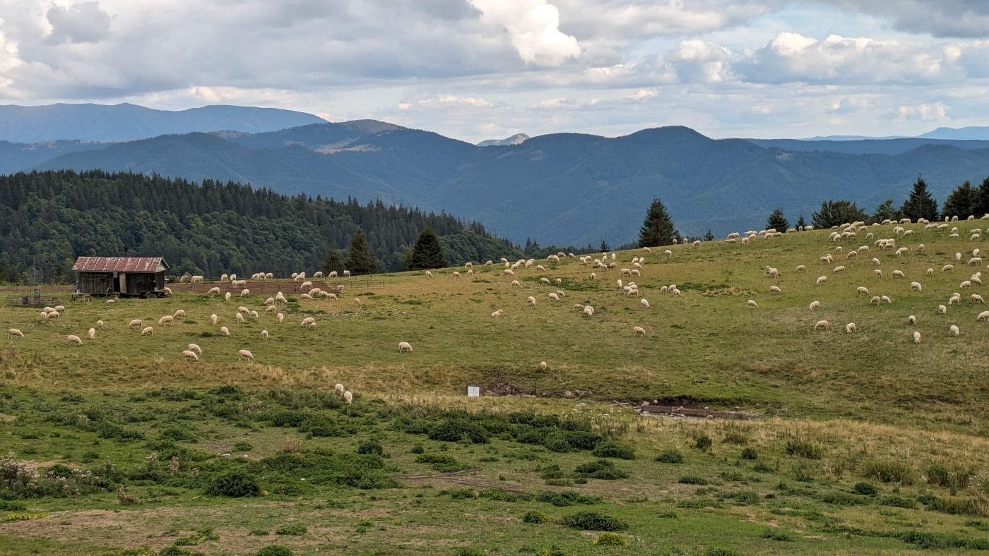 20230915_0530 Velka Fatra
