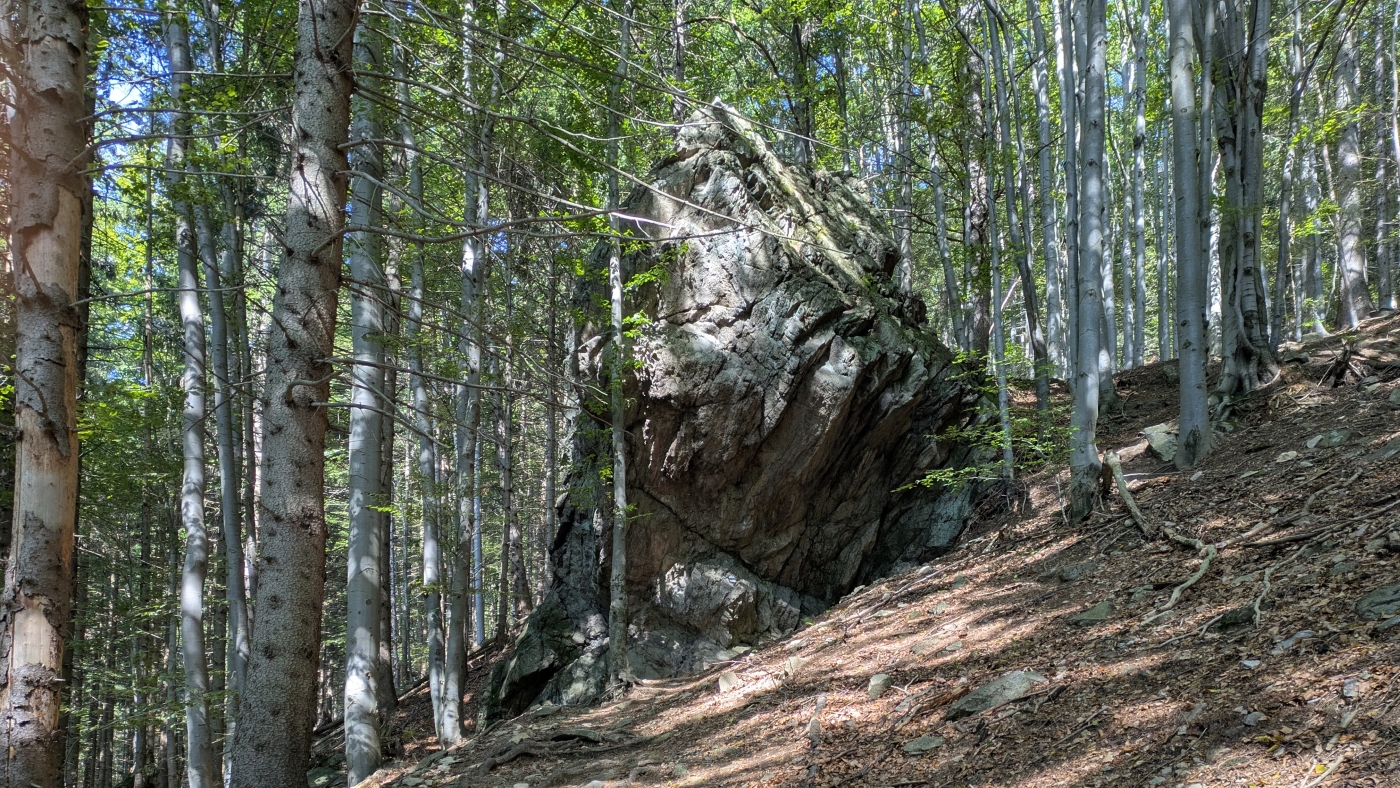 20250908_0090 Mala Fatra